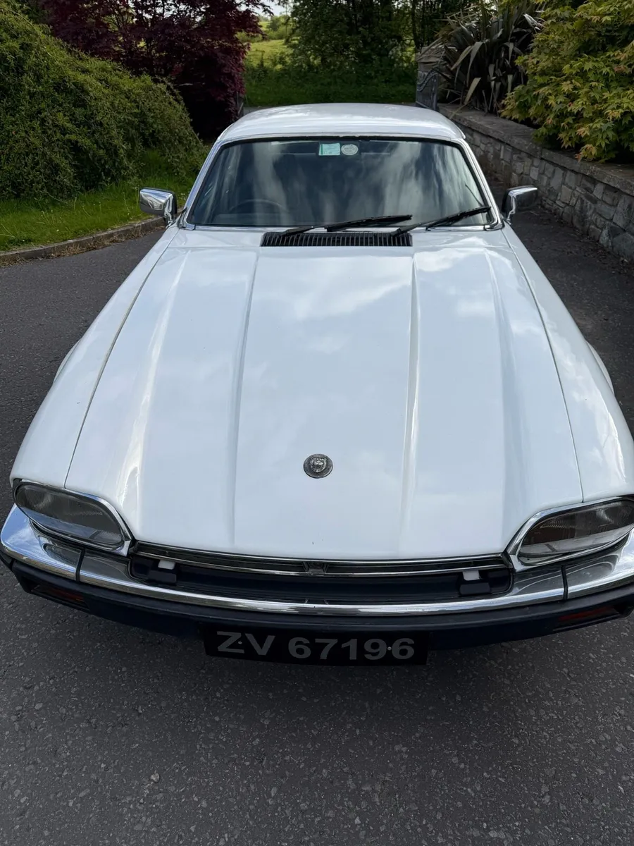 Jaguar xjs - Image 4