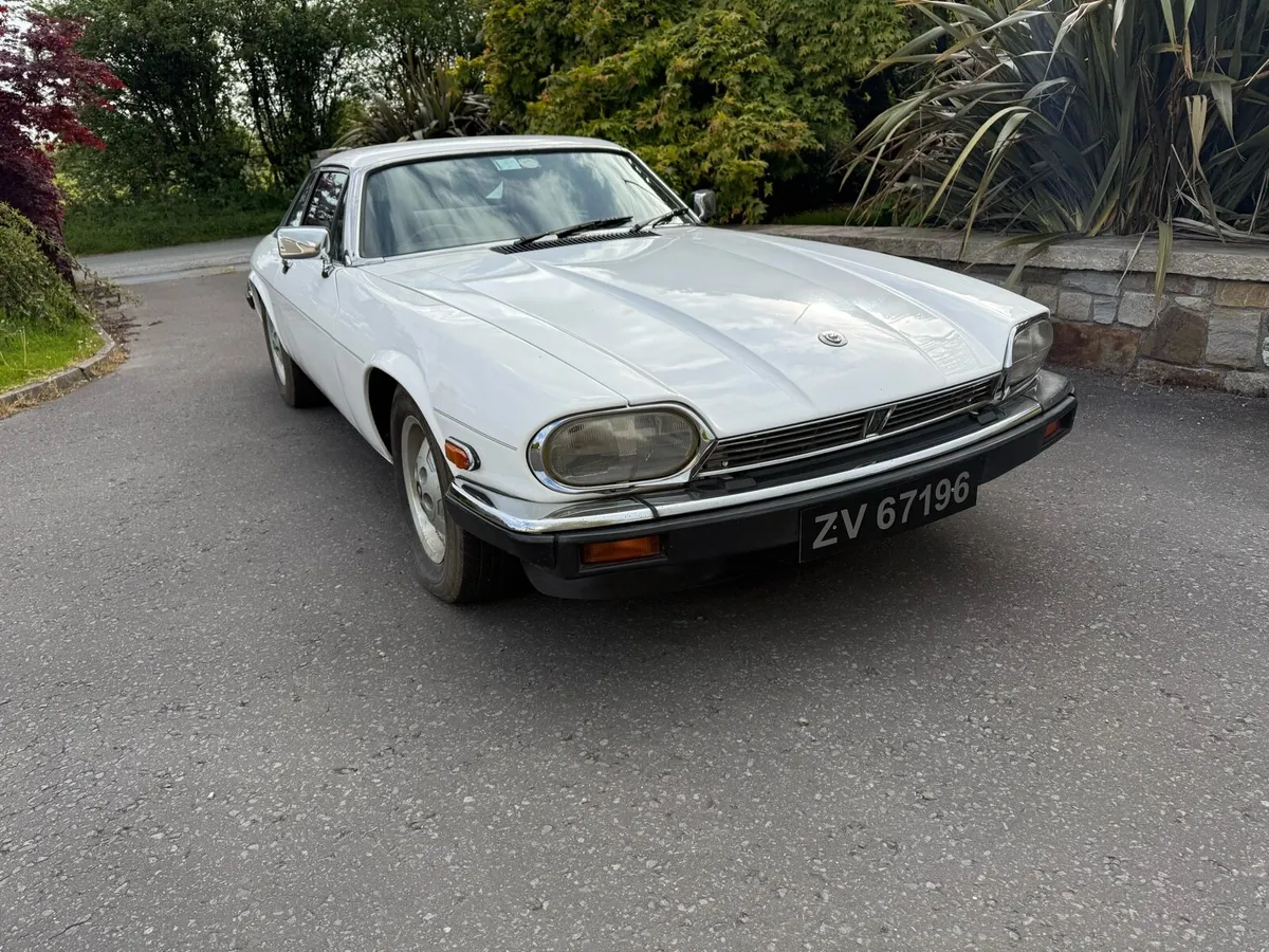 Jaguar xjs - Image 1