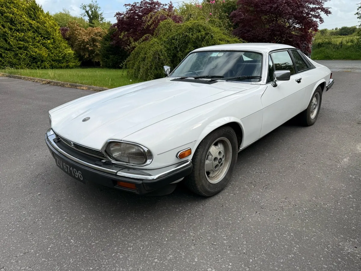 Jaguar xjs - Image 2