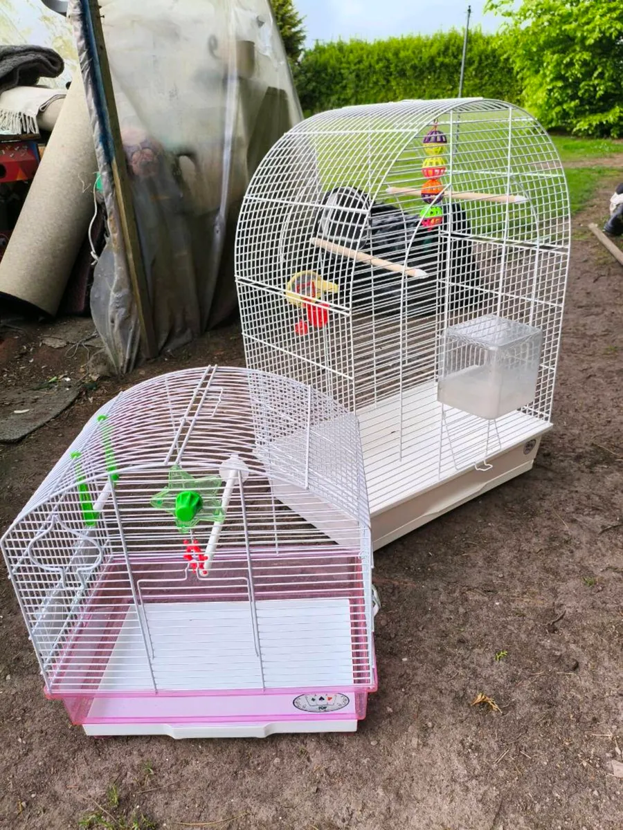 2 bird cages 50 for both - Image 1