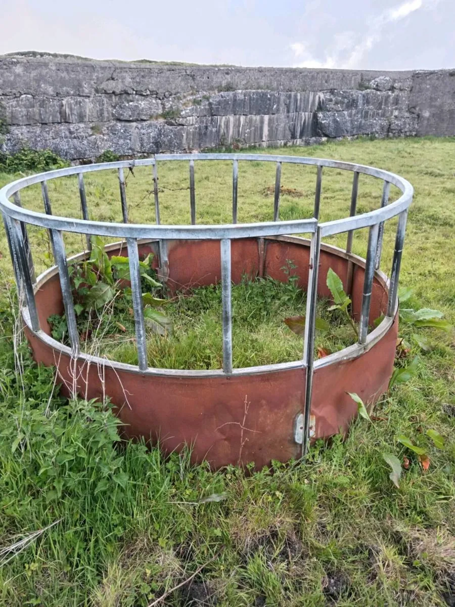 RING FEEDERS - Image 1