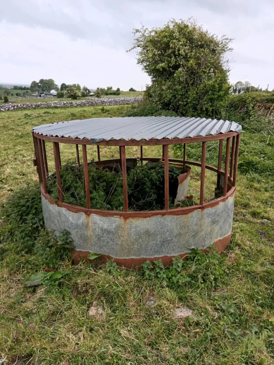 RING FEEDERS - Image 2