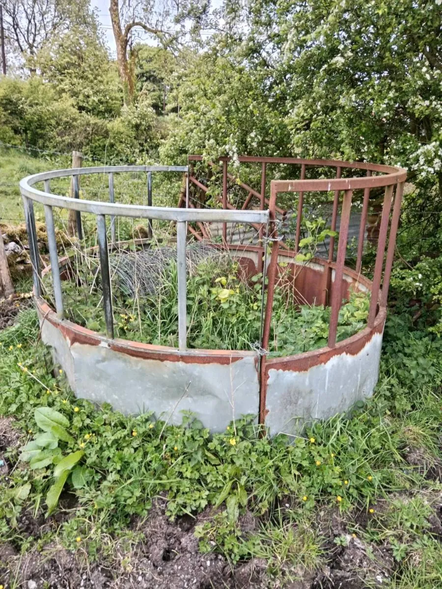 RING FEEDERS - Image 4