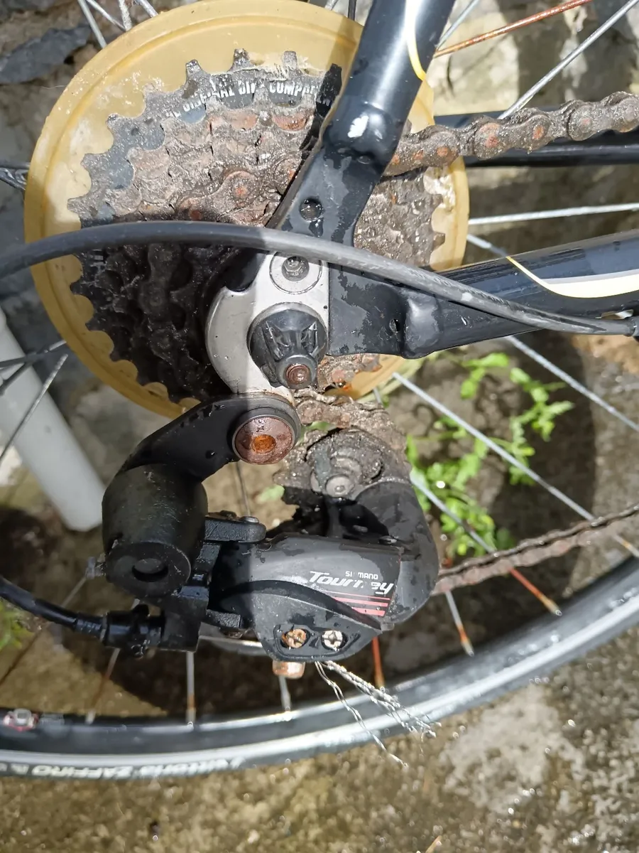 Bicycle Carrera Zelos Road Bike - Image 2