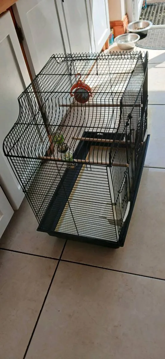 Bird cage€45 - Image 4