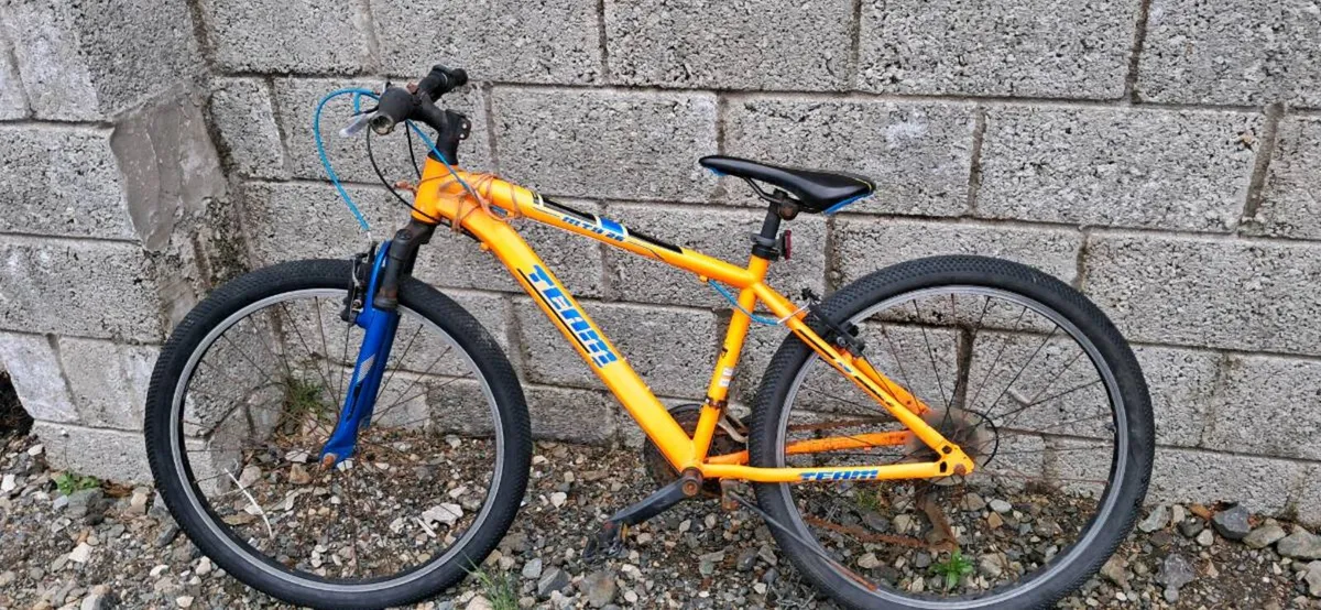 Mountain bike - Image 1