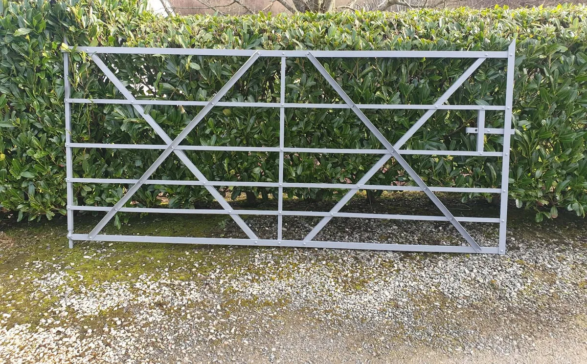 Old forged Gate - Image 1