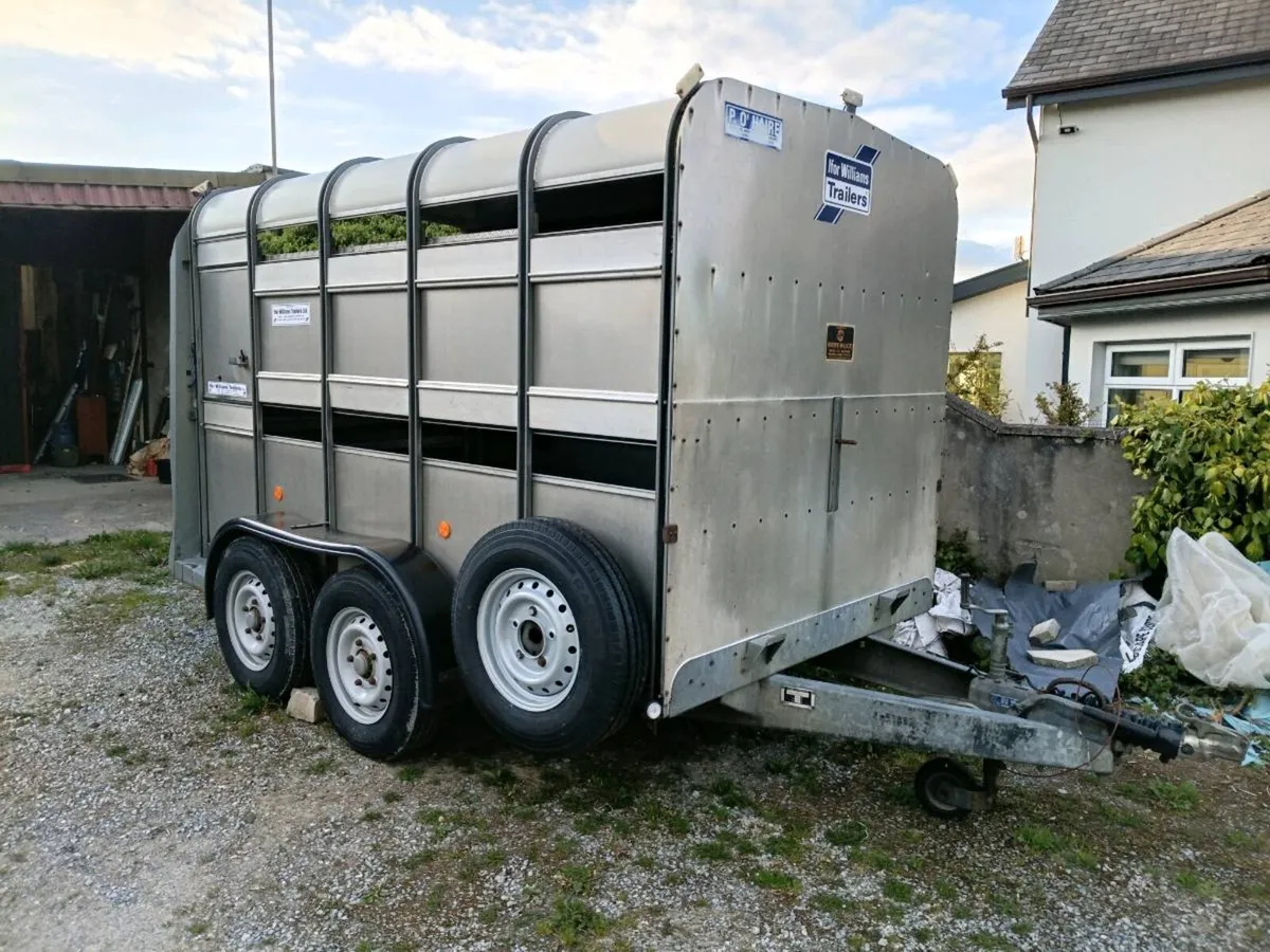 Cattle Trailer - Image 1