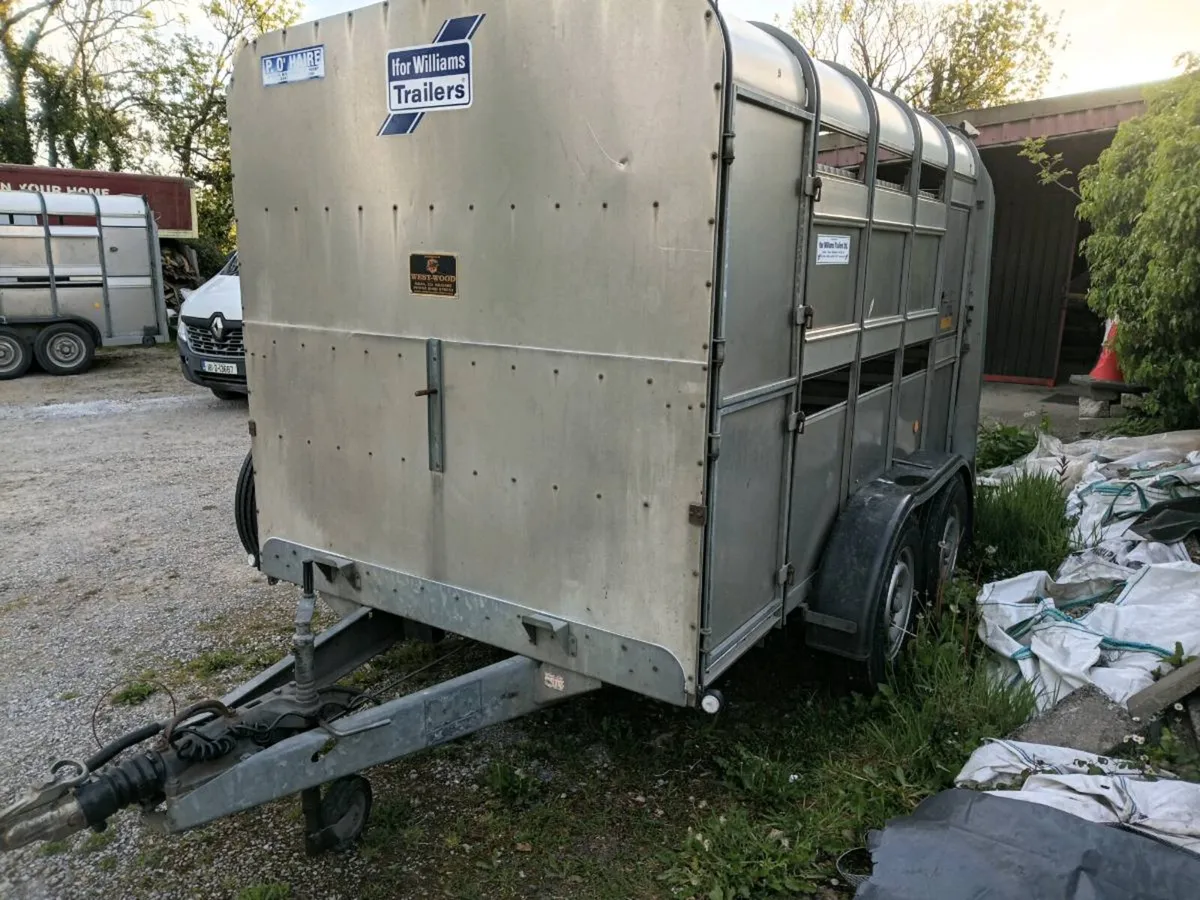 Cattle Trailer - Image 2