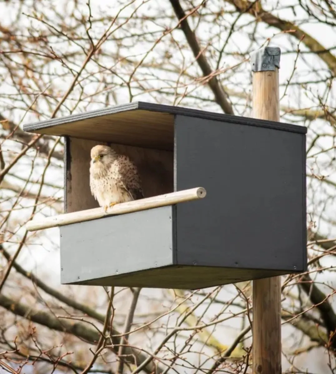 Kestrel box's ACRES Approved - Image 2