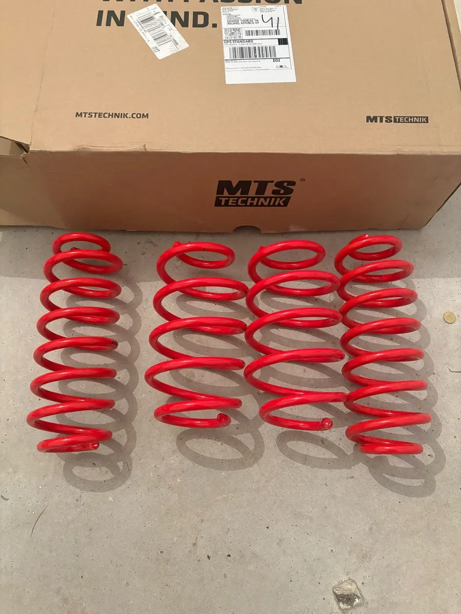 B7 Passat Lowering Springs - Image 1
