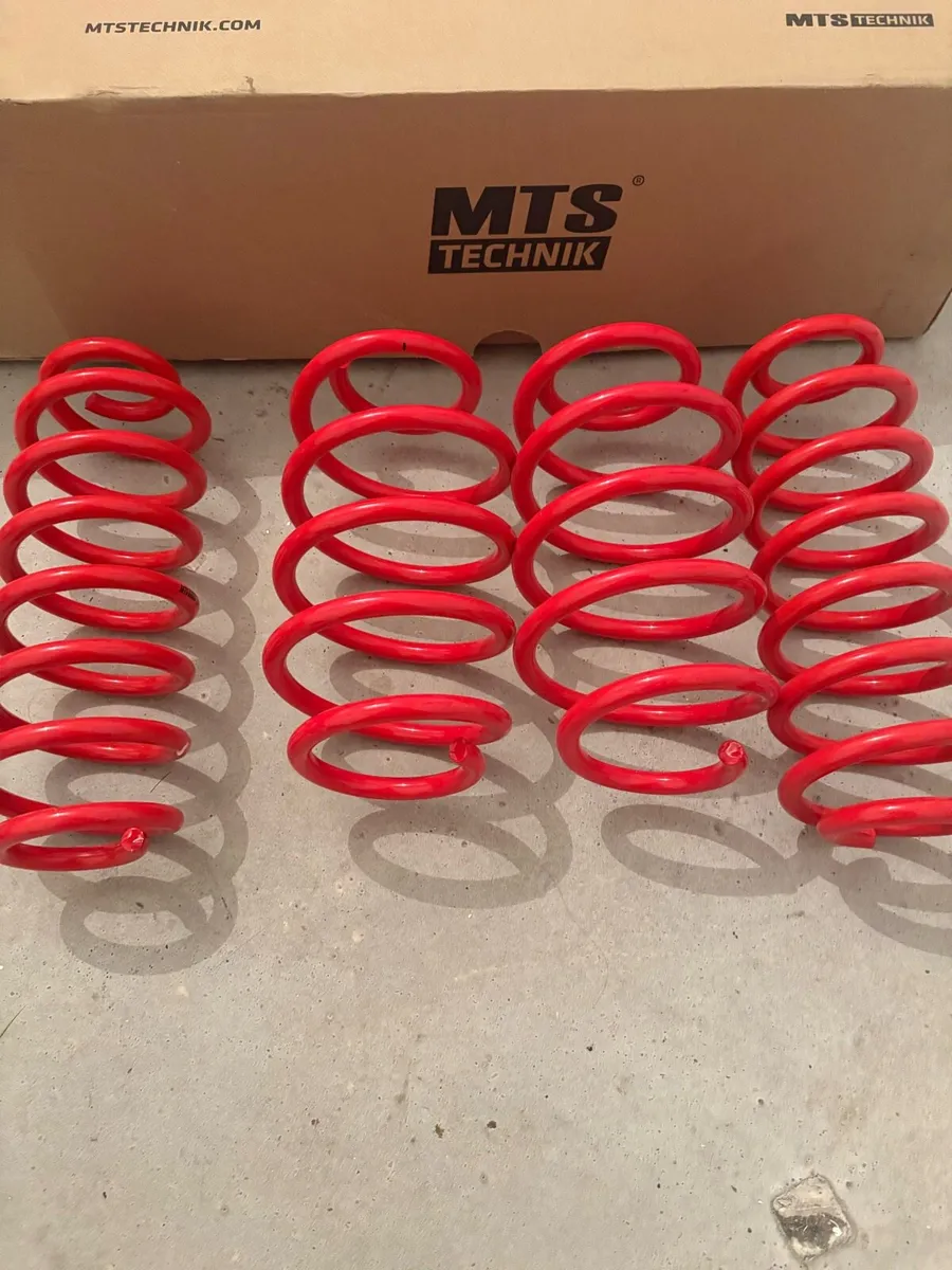 B7 Passat Lowering Springs - Image 2
