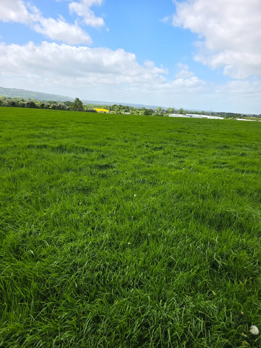 Meadow for silage 55 acres - Image 1