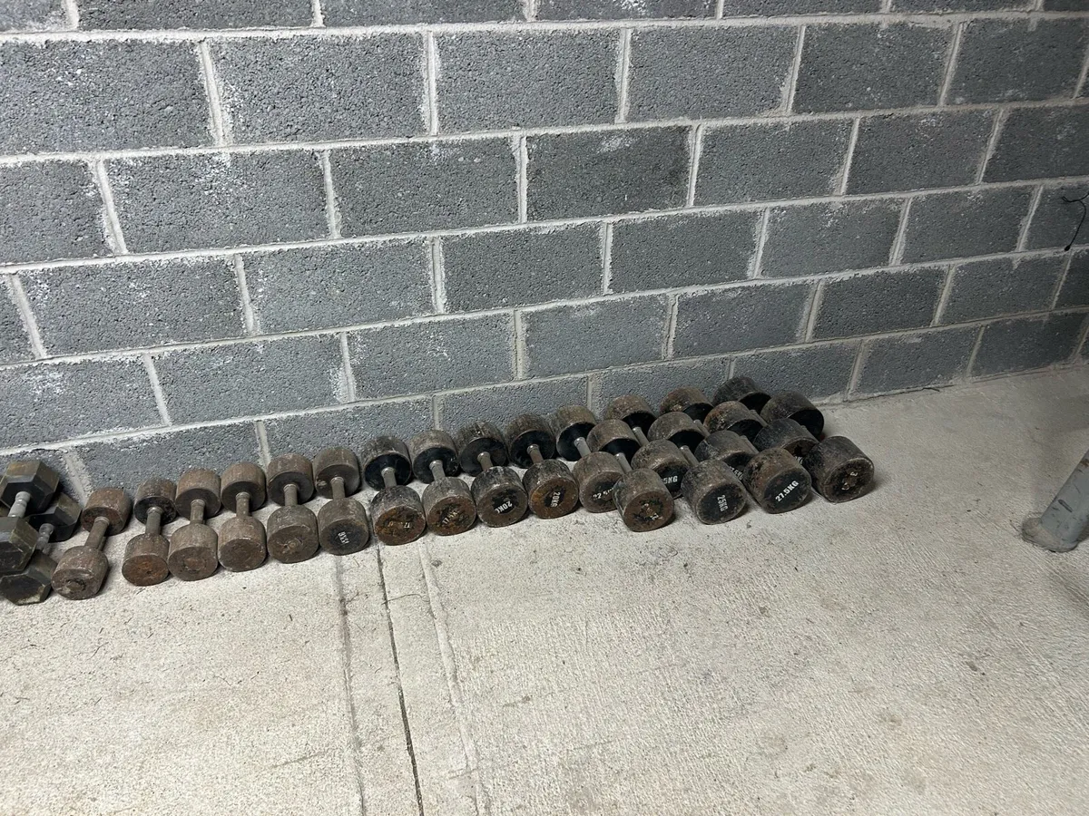 Weights - Image 2