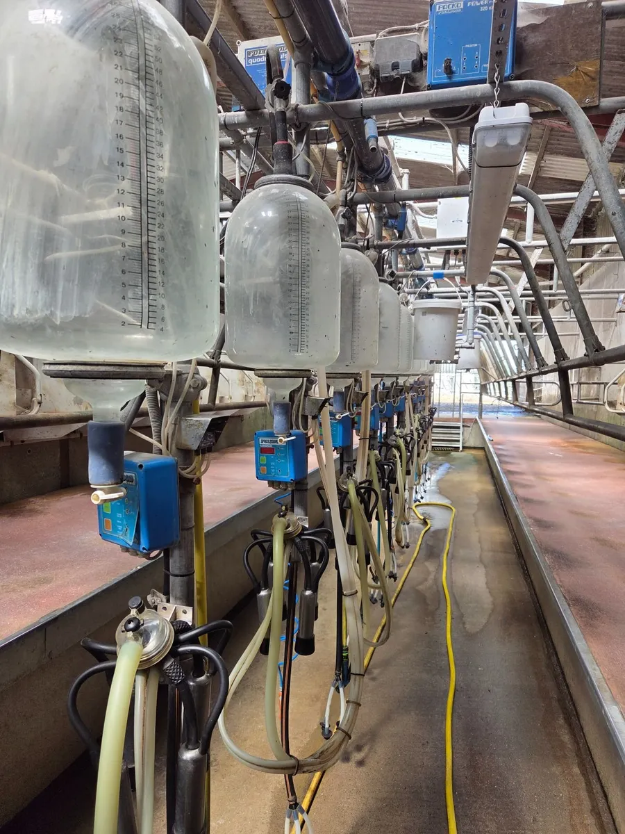 12 Unit Parlour - Image 3