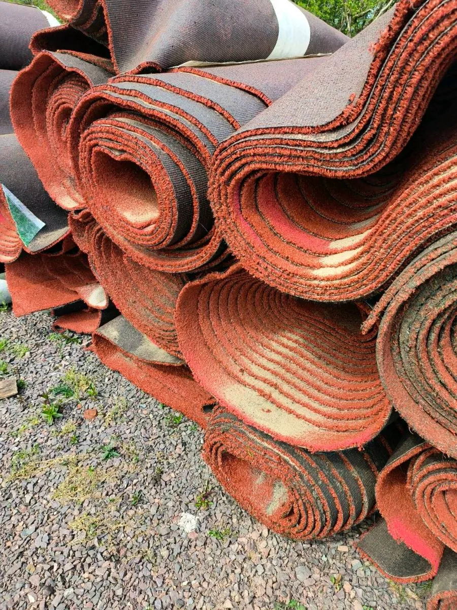Astro turf - Image 4