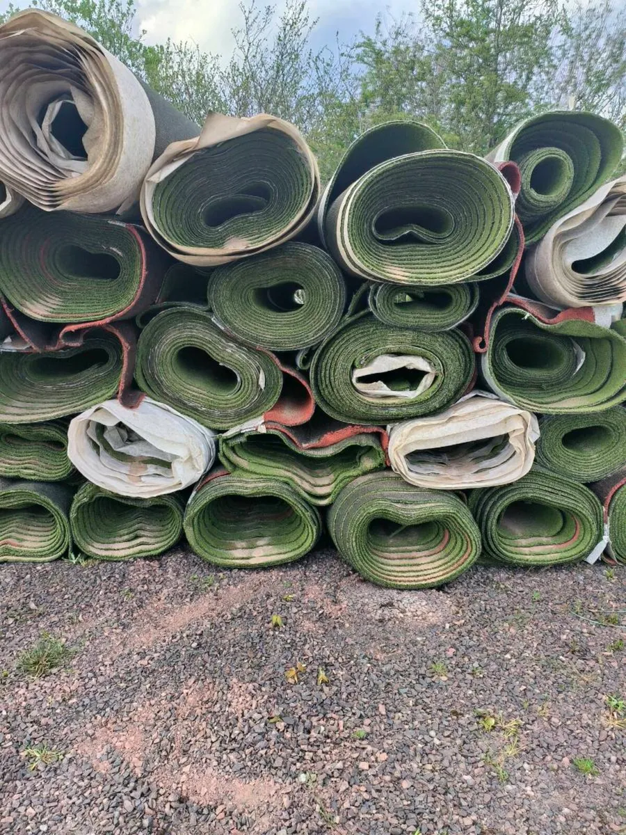 Astro turf - Image 1