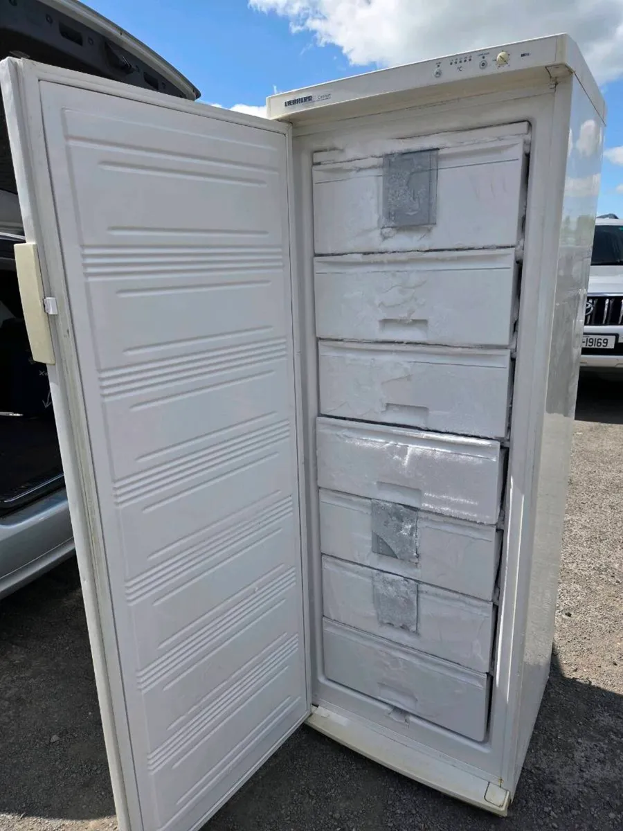 Freestanding freezer - Image 1