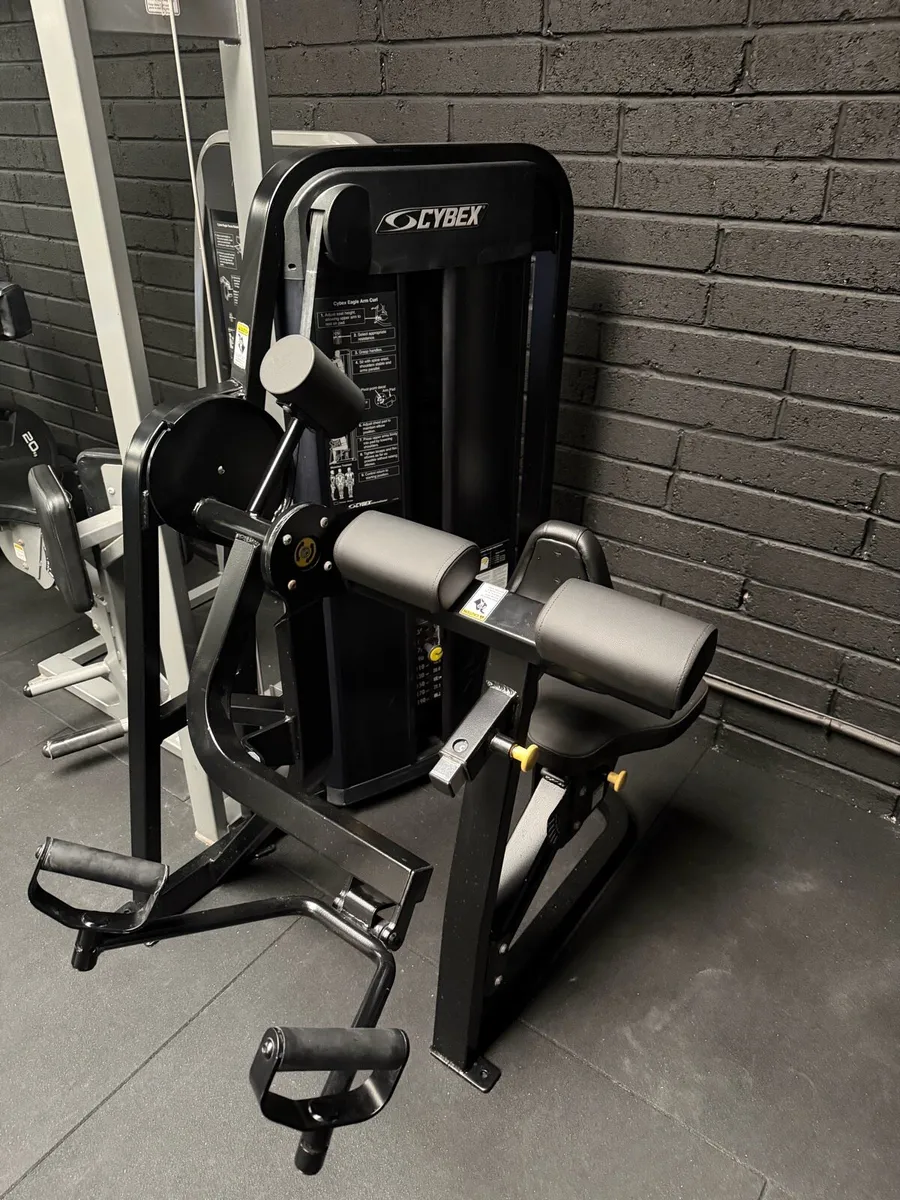 Cybex eagle bicep & tricep machines - Image 1