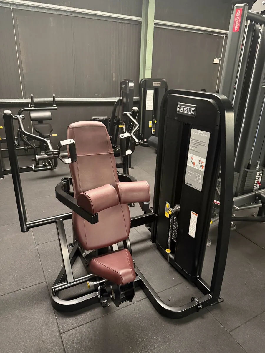 Cybex eagle bicep & tricep machines - Image 2