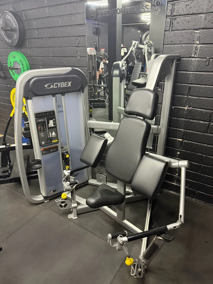 Cybex eagle bicep machine
