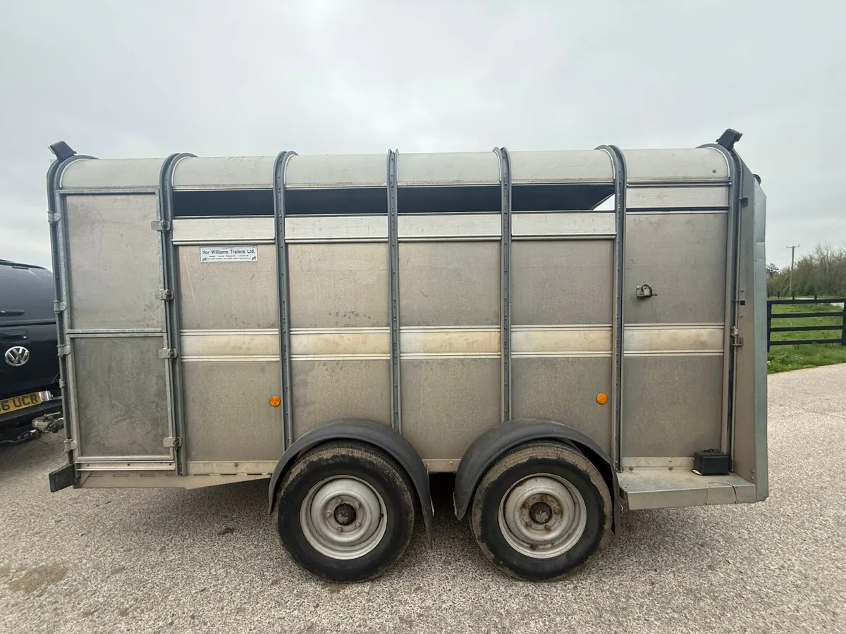 2017 Ifor Williams 12ft Cattle Trailer***** - Image 4
