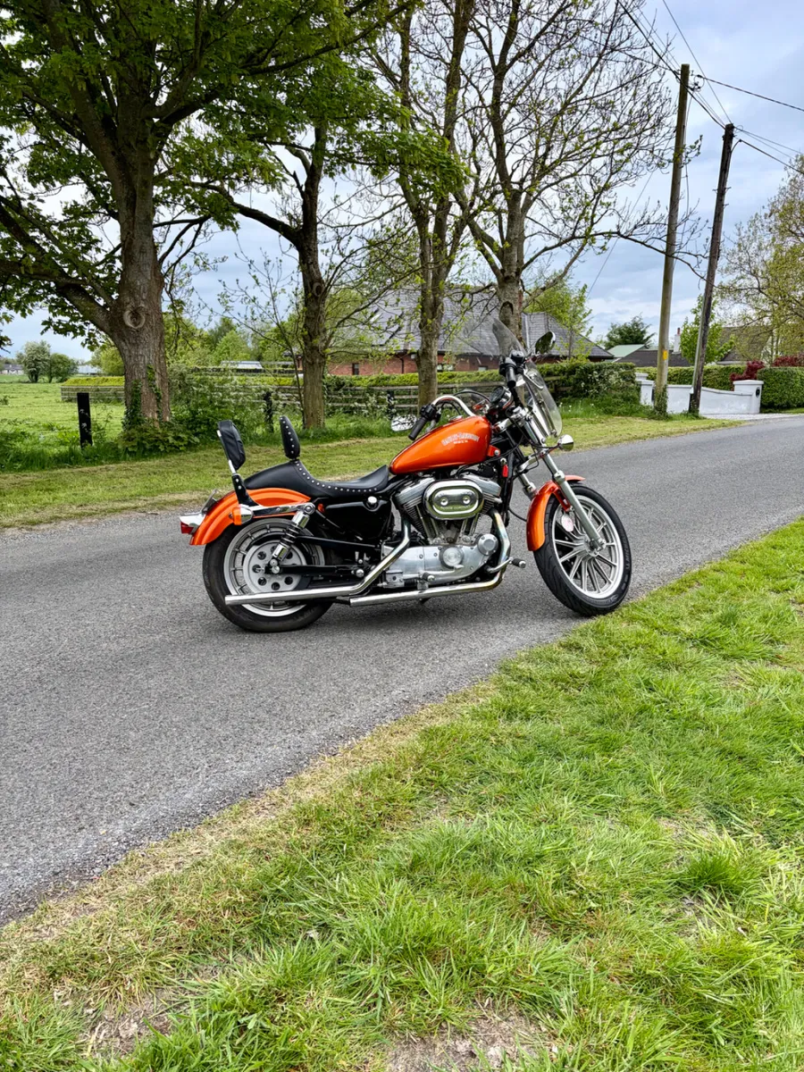 HARLEY DAVIDSON 883 (super low mileage) - Image 2