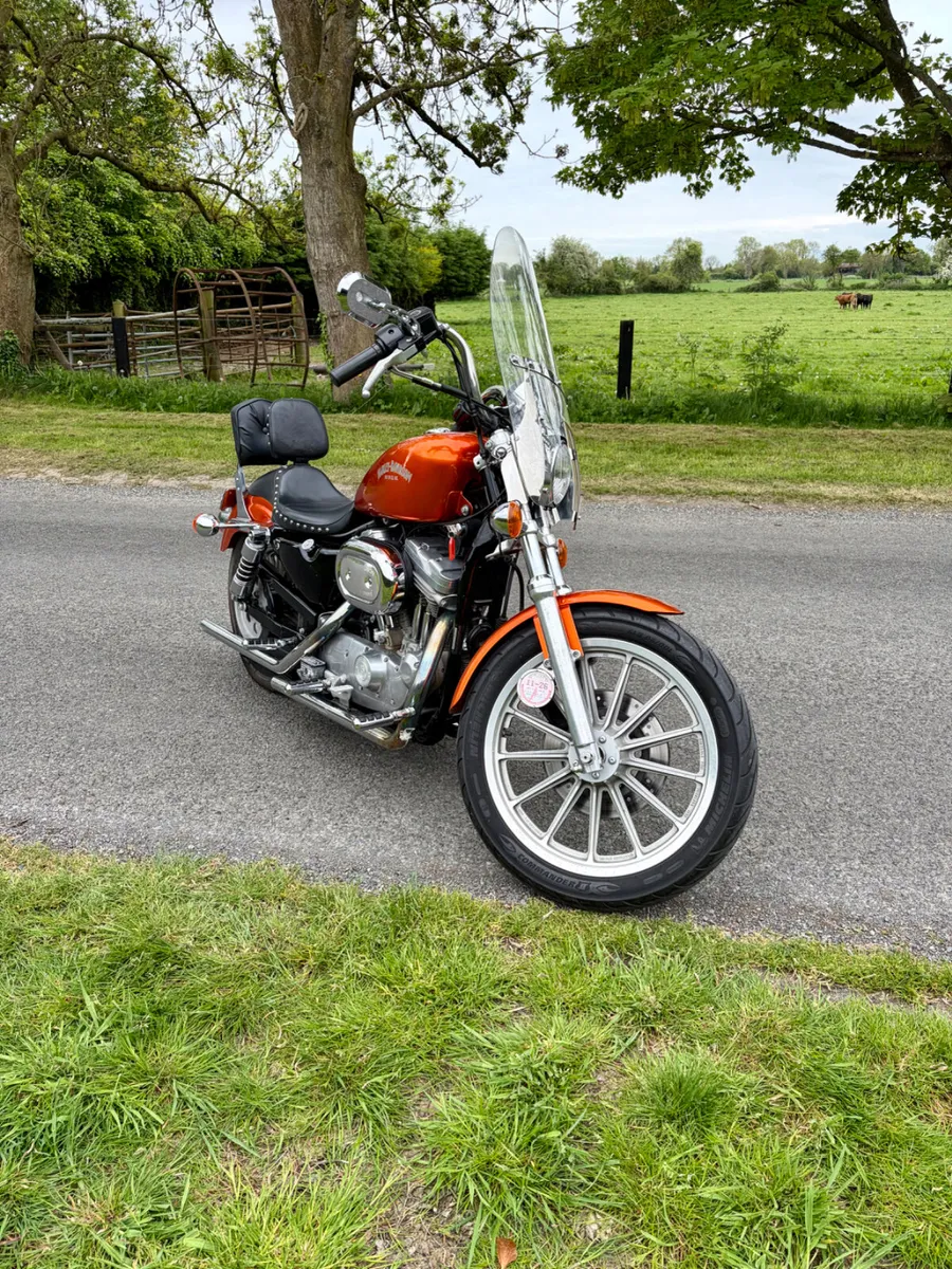 HARLEY DAVIDSON 883 (super low mileage) - Image 3