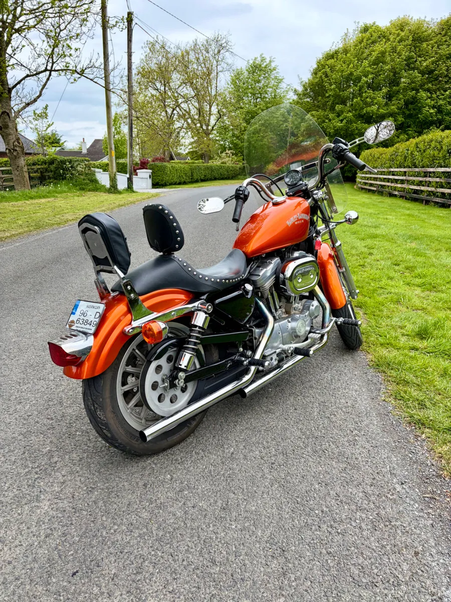 HARLEY DAVIDSON 883 (super low mileage) - Image 4