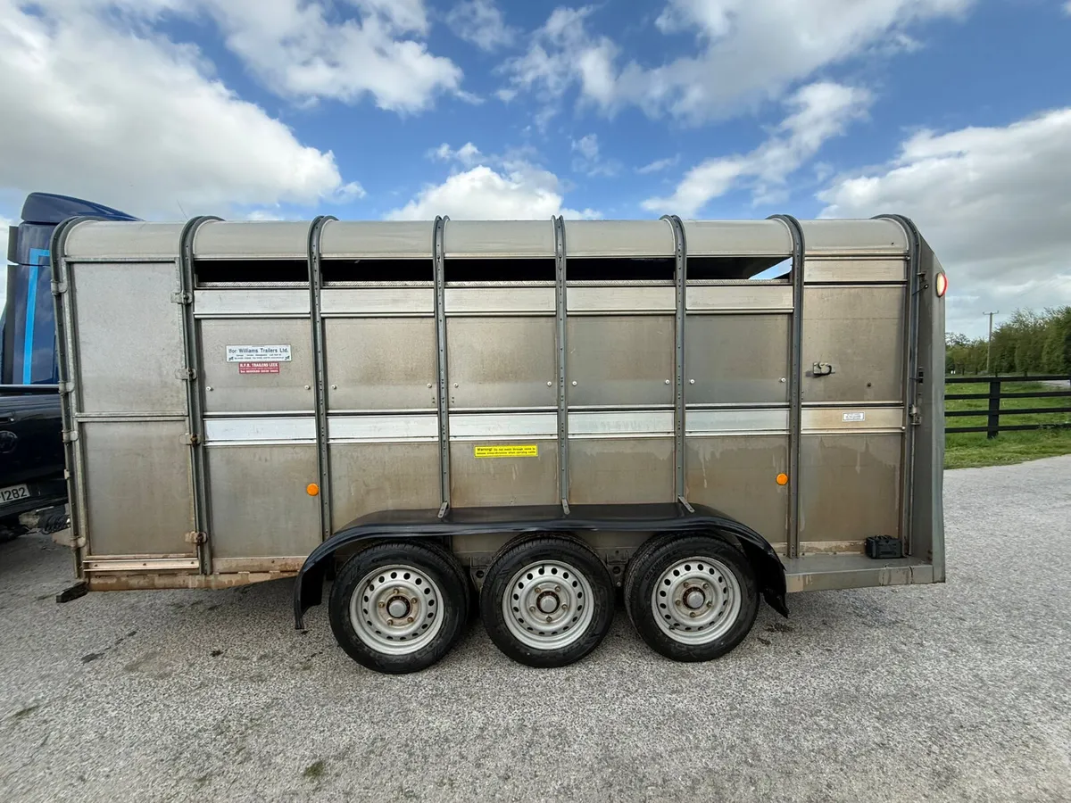 2021 Ifor Williams 14ft  Cattle  & Sheep Trailer - Image 3