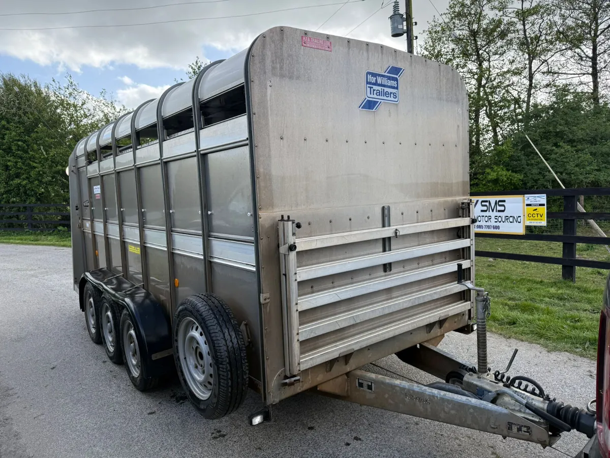 2021 Ifor Williams 14ft  Cattle  & Sheep Trailer - Image 1