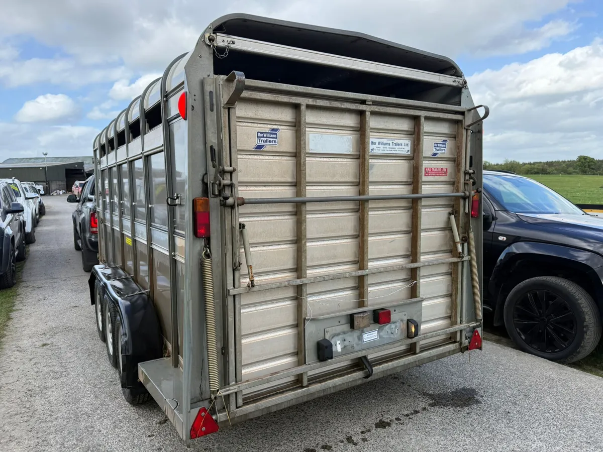 2021 Ifor Williams 14ft  Cattle  & Sheep Trailer - Image 4