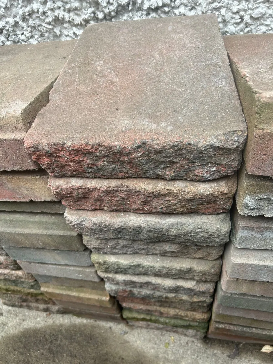 Curved Retaining Wall 4.79 Square Meters - Image 3