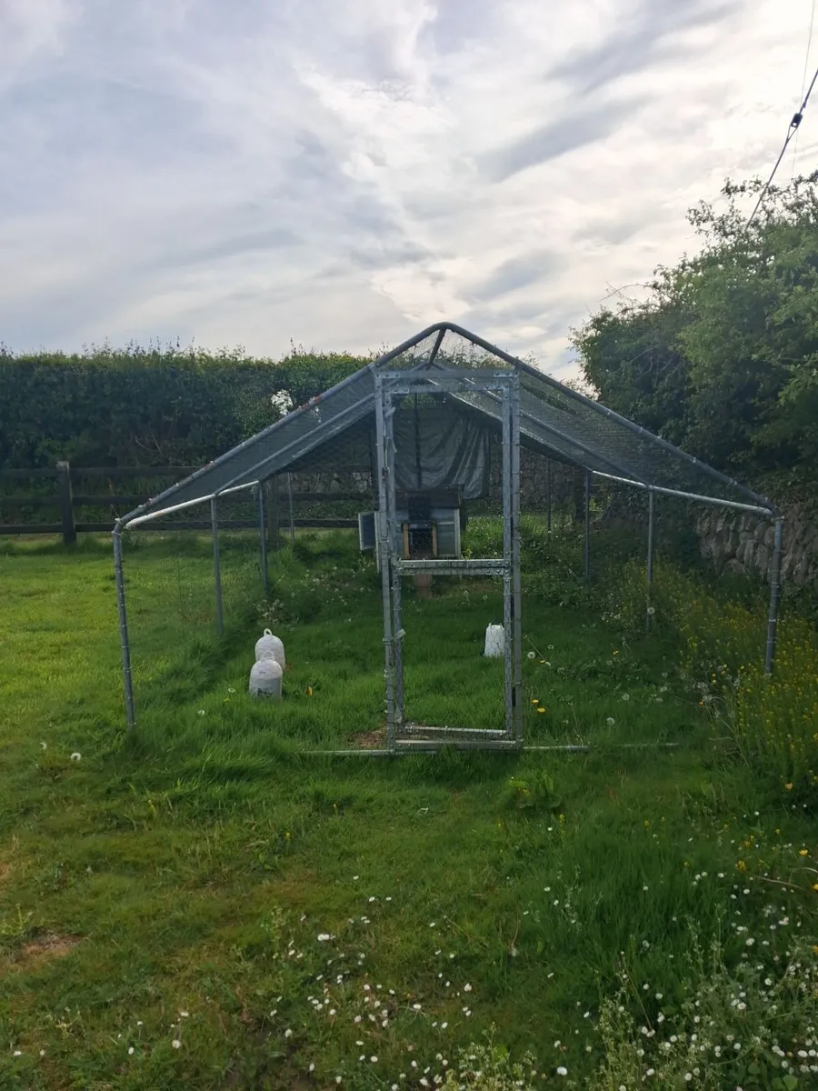 Hen house and run - Image 1