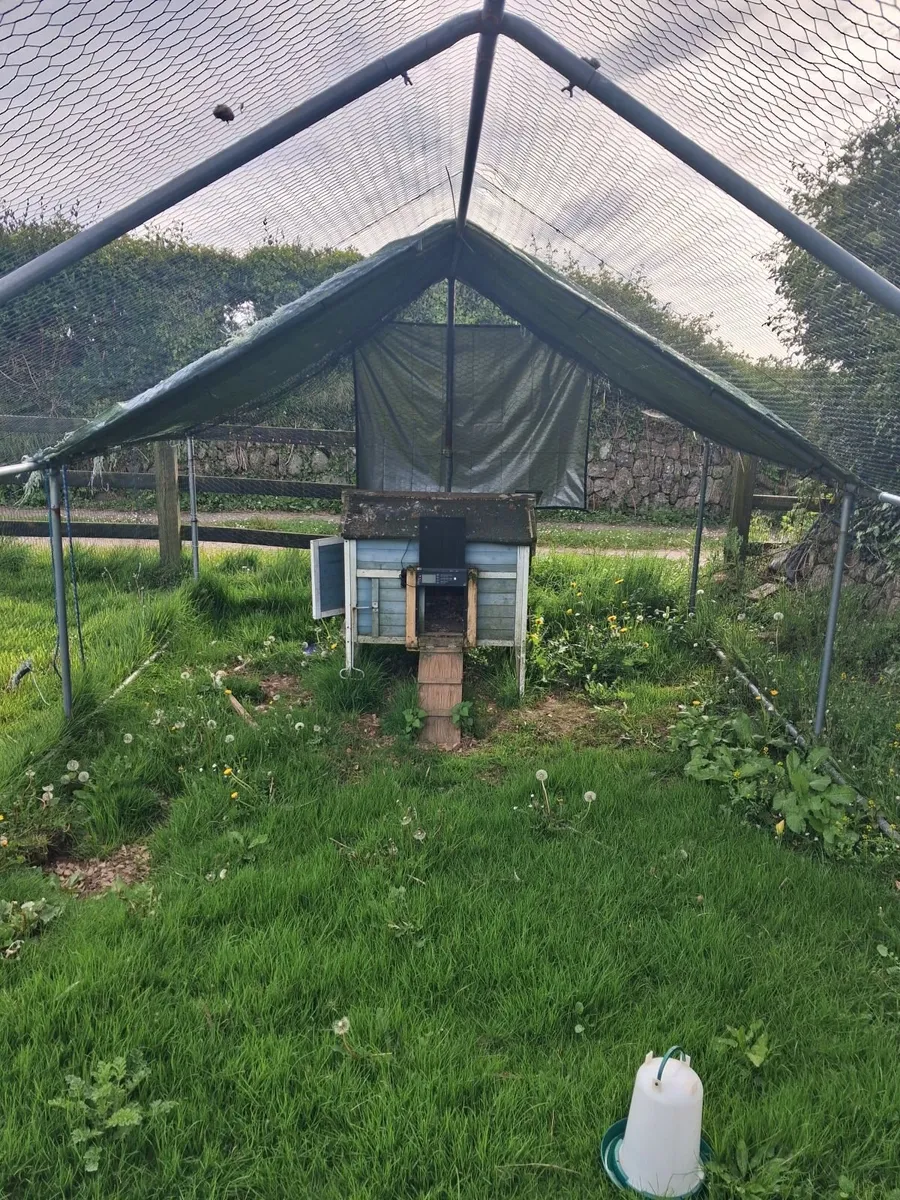 Hen house and run - Image 2