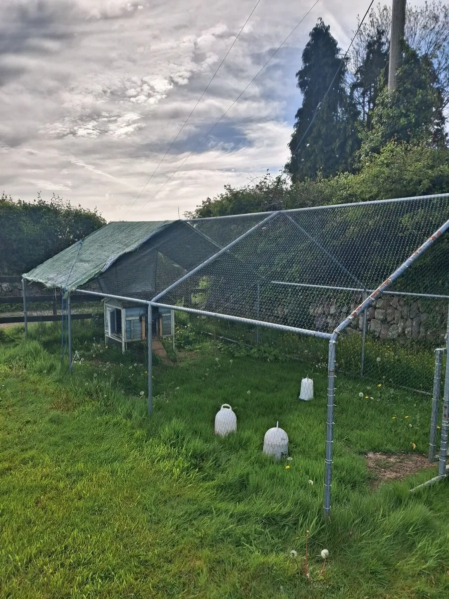 Hen house and run - Image 3