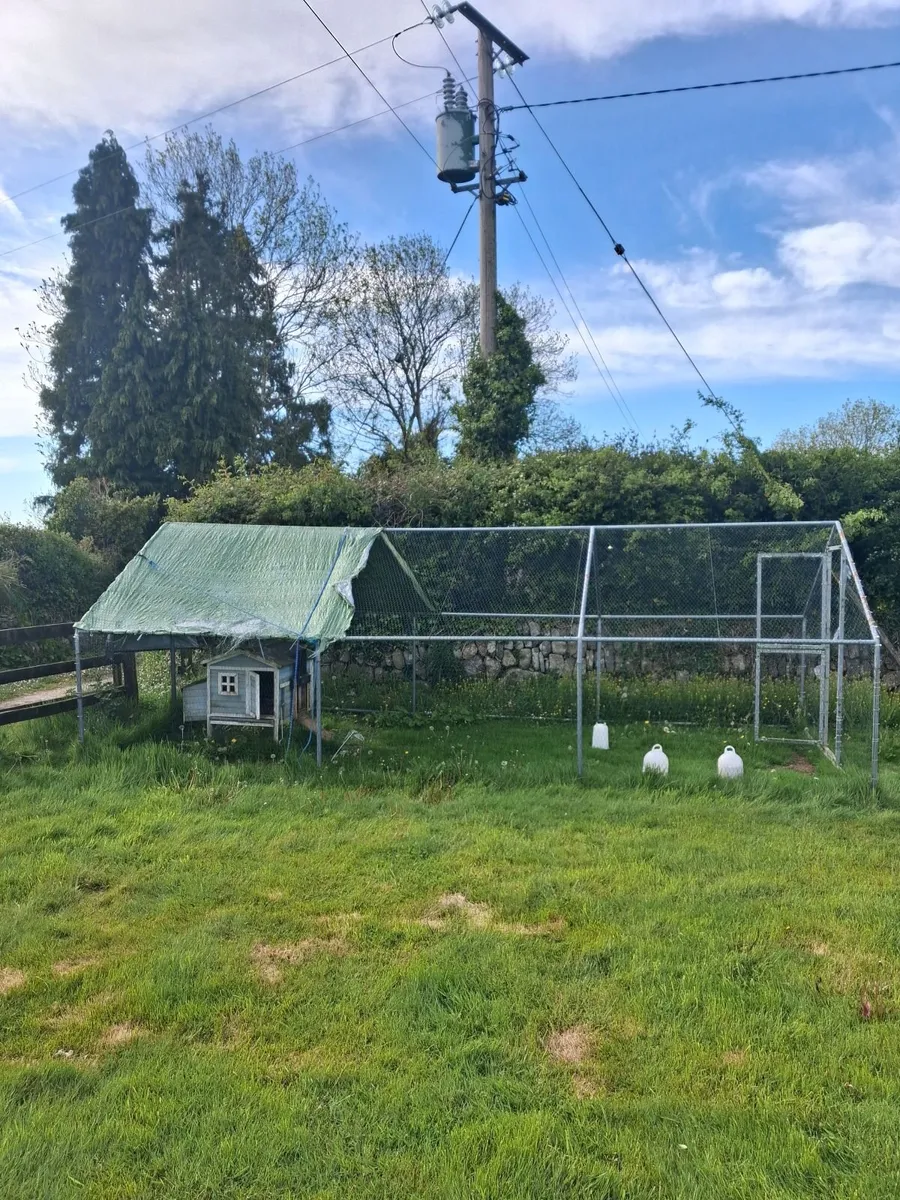 Hen house and run - Image 4