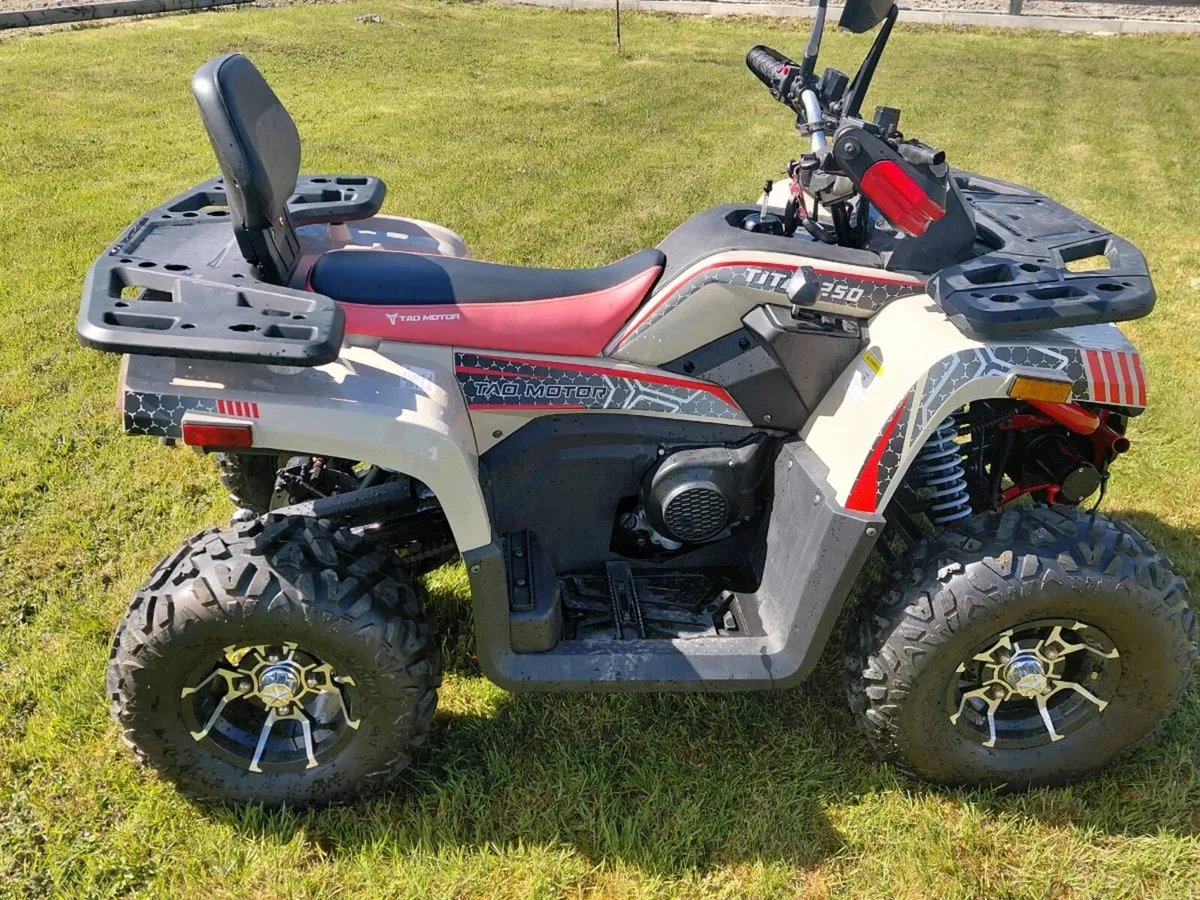 Brand New 250cc Quad - Image 4