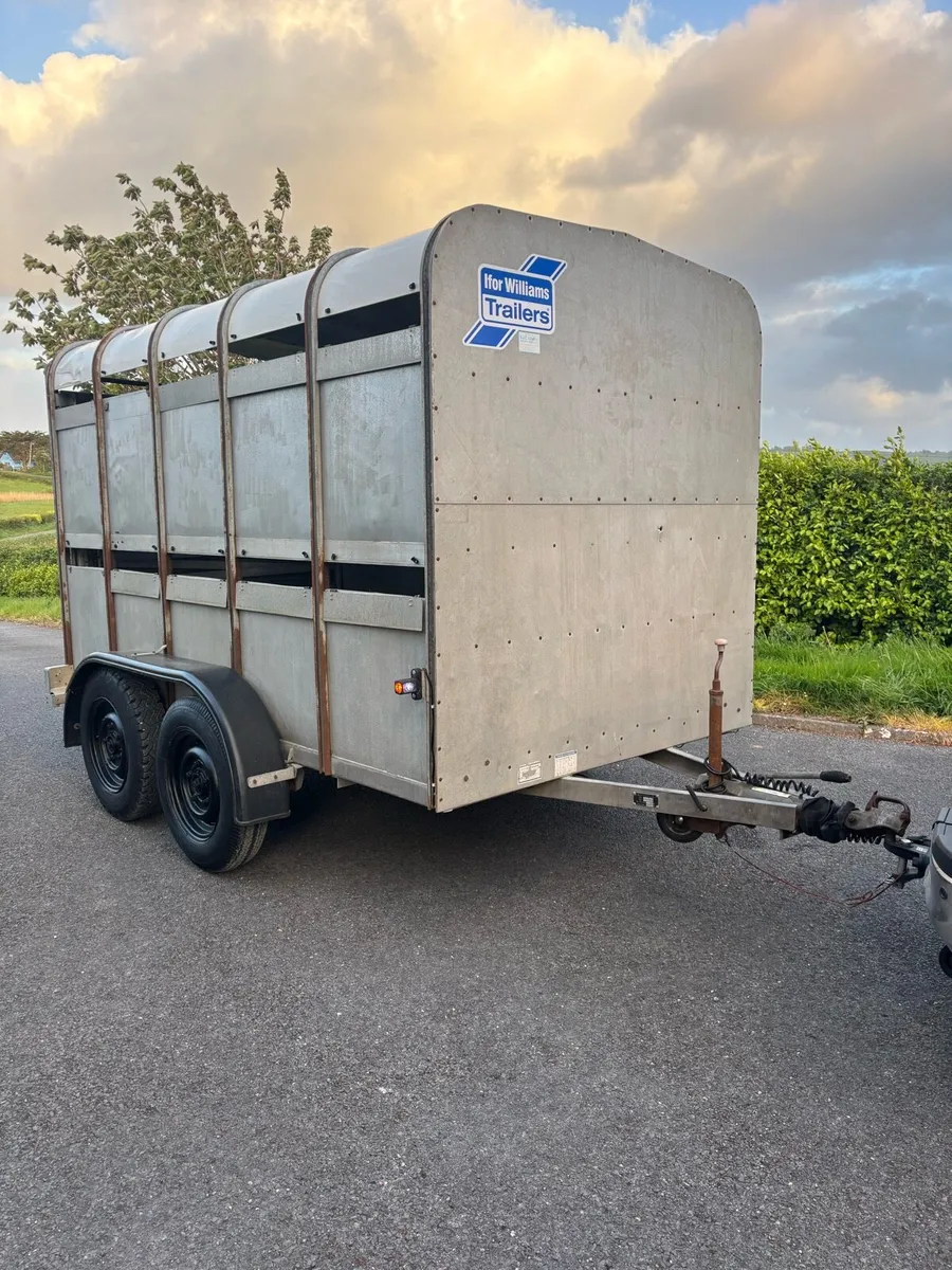 Ifor Williams 12x6 cattle box - Image 1
