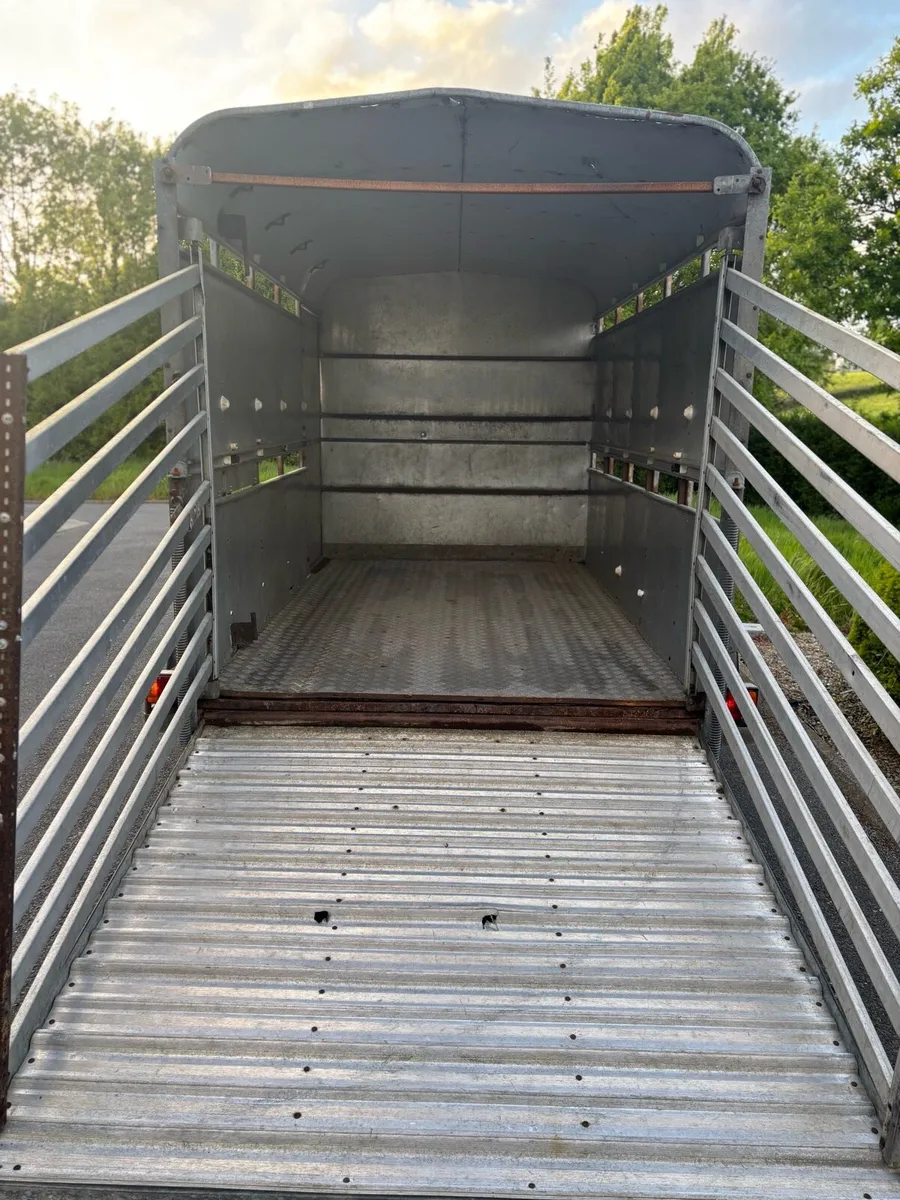 Ifor Williams 12x6 cattle box - Image 3