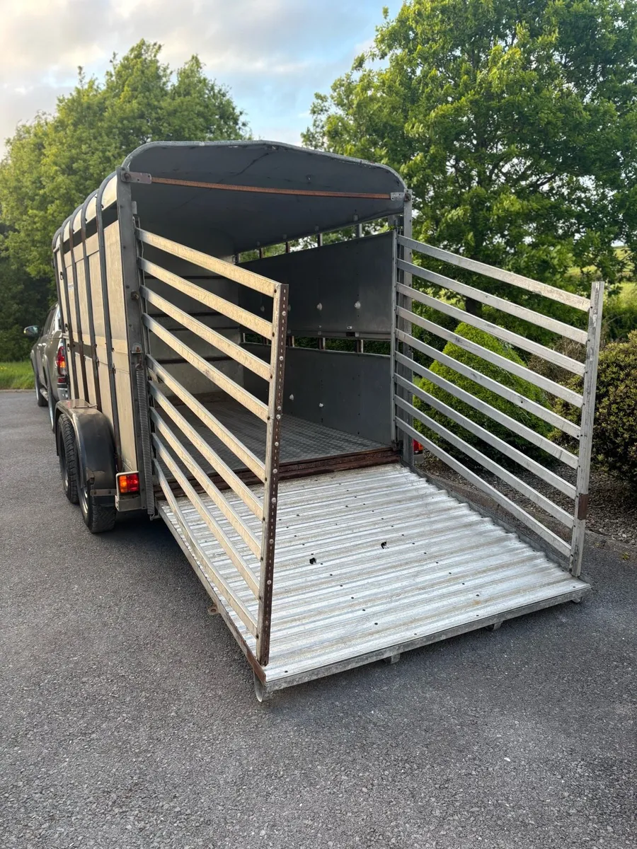 Ifor Williams 12x6 cattle box - Image 4