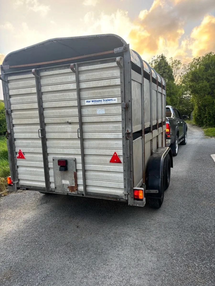 Ifor Williams 12x6 cattle box - Image 2