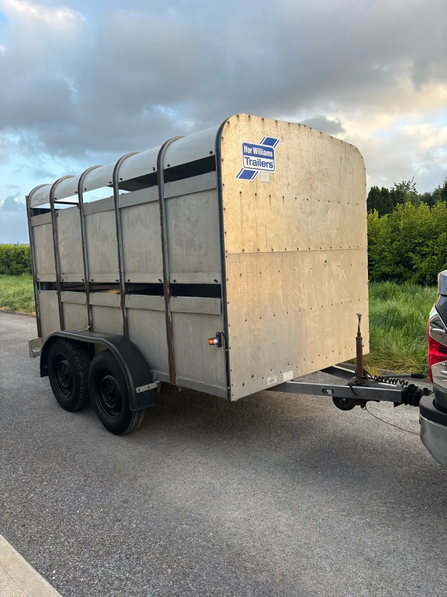 Ifor Williams 10x6 cattle box - Image 1