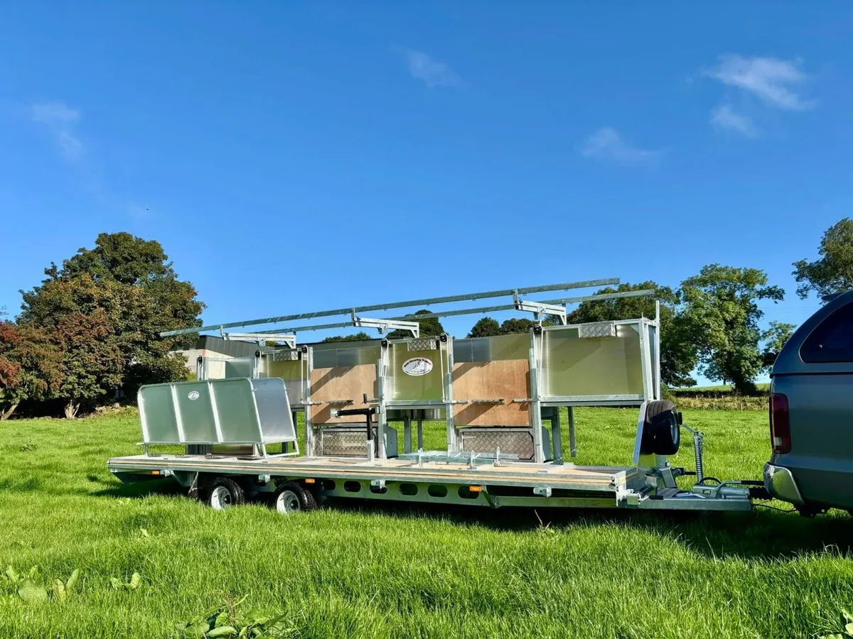 Sheep shearing and tub dipping for hire - Image 1