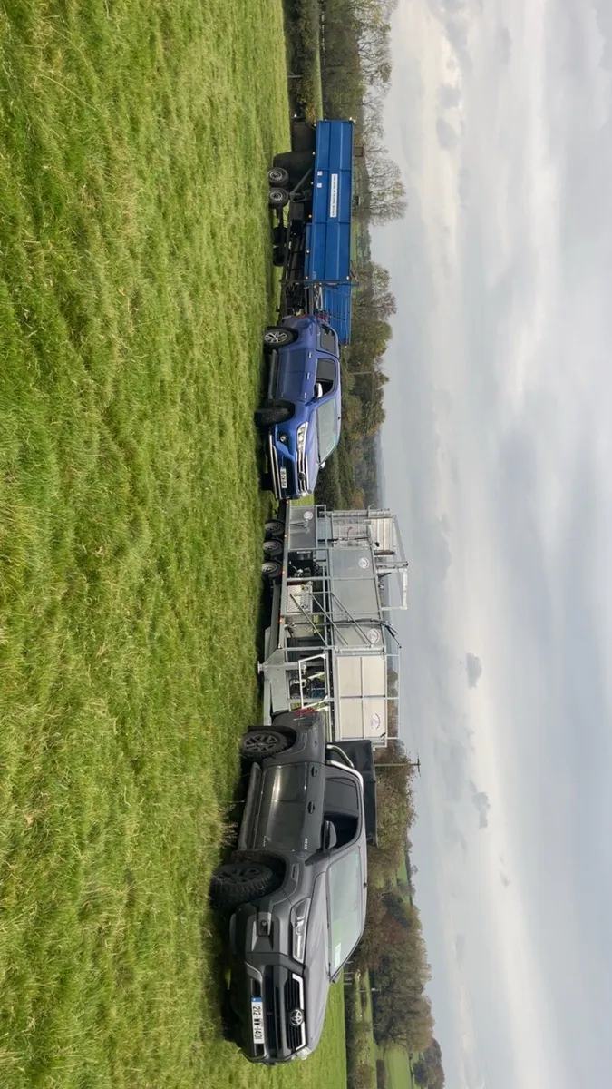 Sheep shearing and tub dipping for hire - Image 2