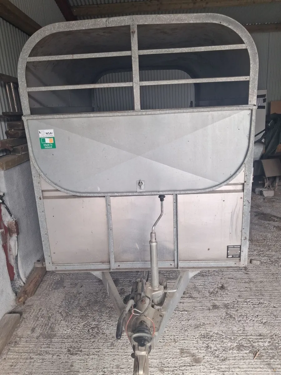 8×5 Cattle trailer - Image 3