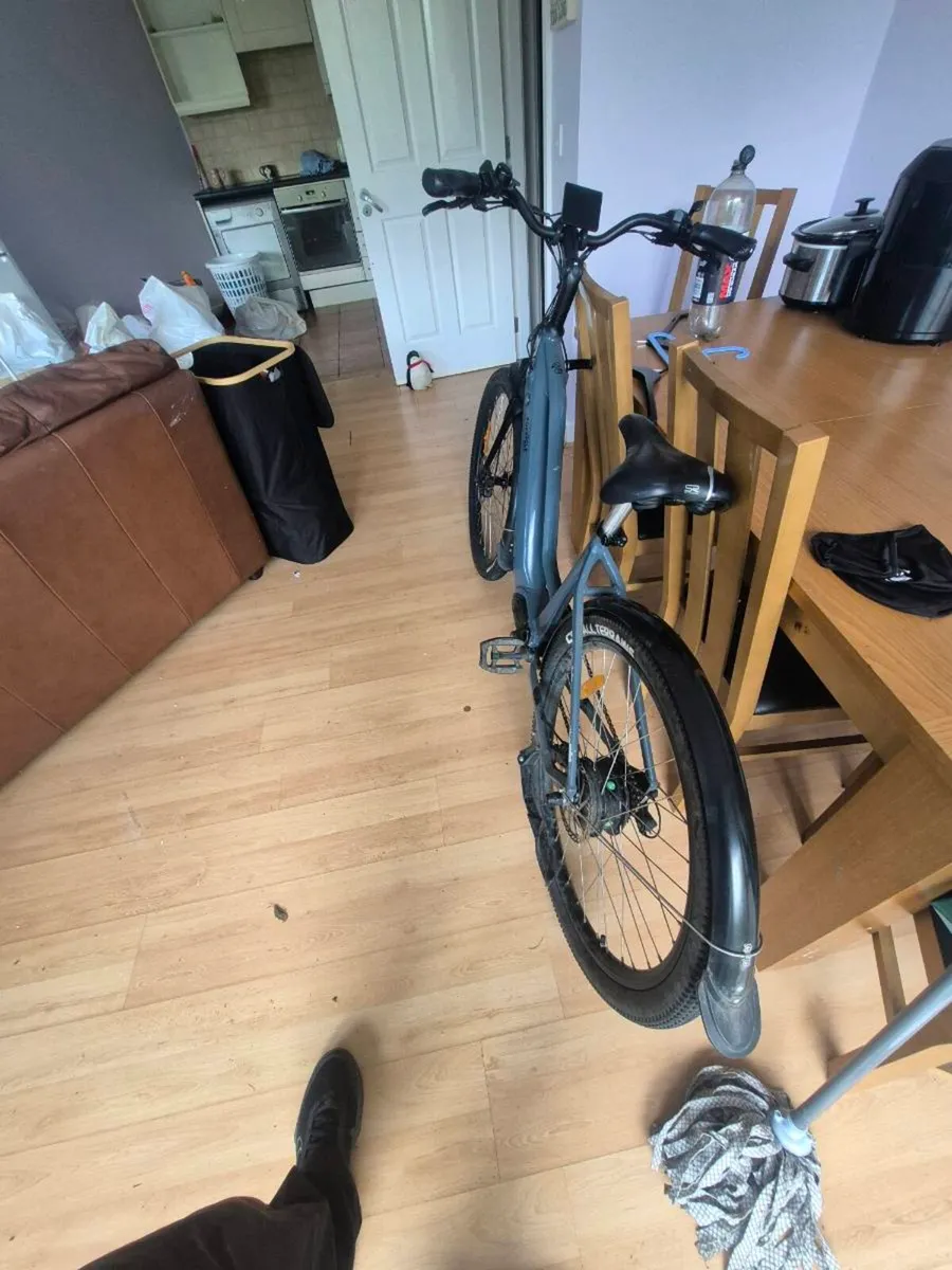Pedal assist bike - Image 1