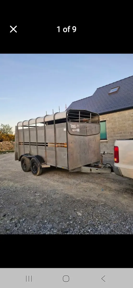 12 × 6 livestock trailer fully serviced - Image 4