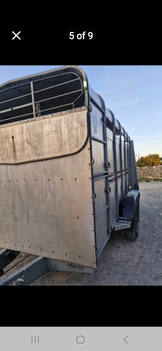 12 × 6 livestock trailer fully serviced - Image 1
