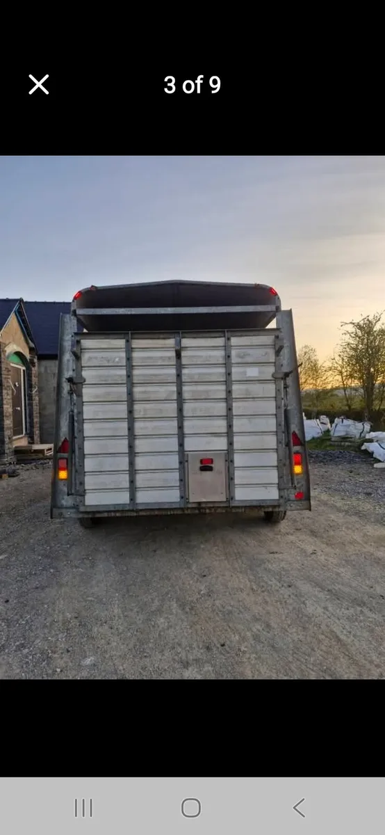 12 × 6 livestock trailer fully serviced - Image 2